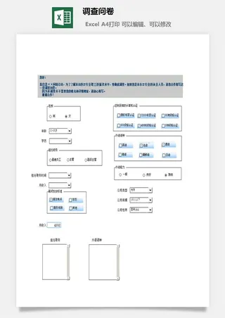调查问卷财务行政EXCEL模板