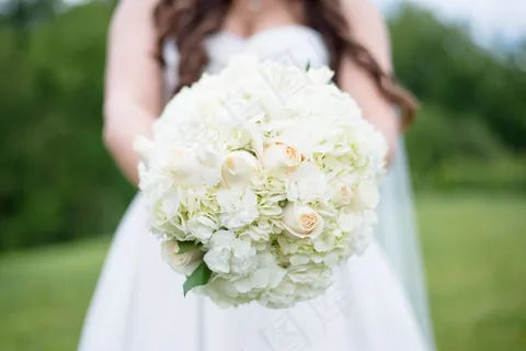 香槟色白色手捧花图片