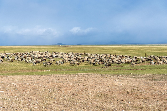 巴音布鲁克草原