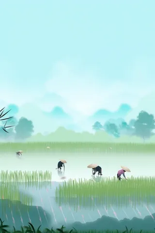 雨天农民插秧种植背景