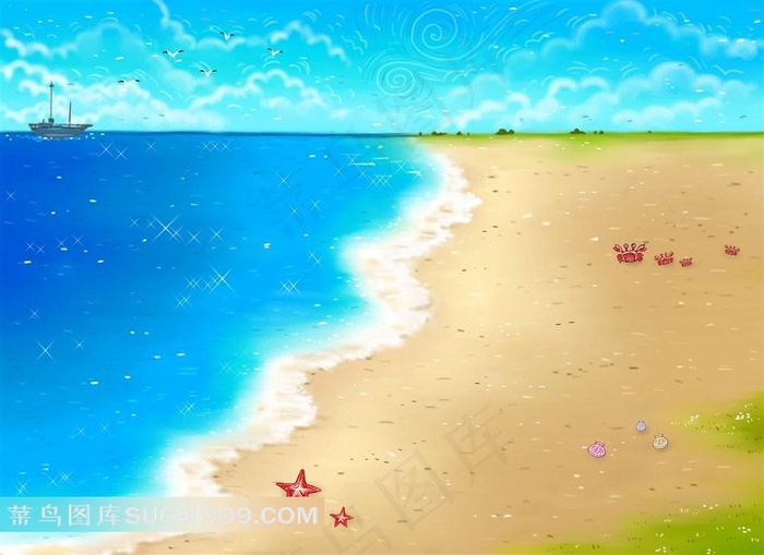 海边沙滩上的海星