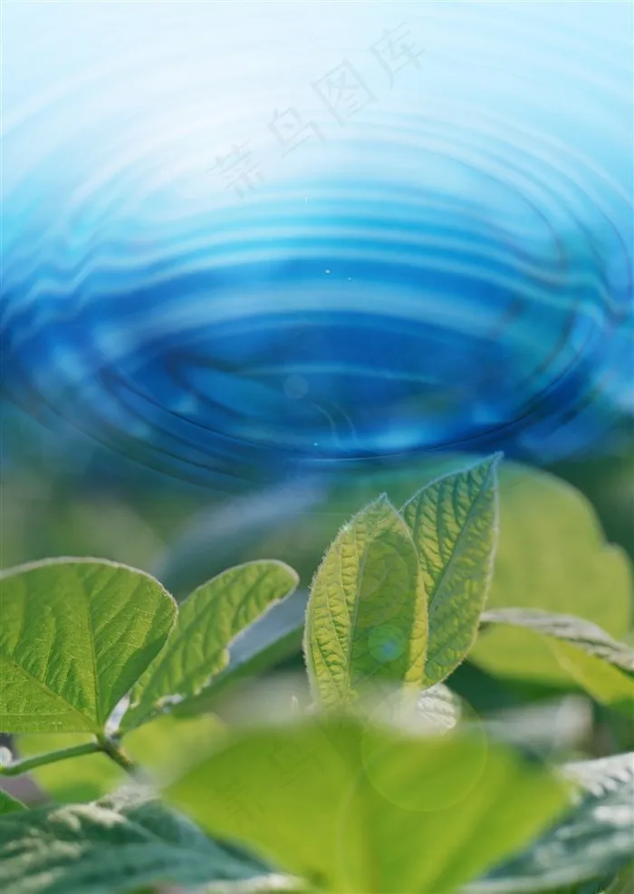 唯美植物素材图片