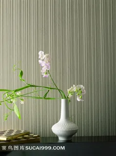 欧美室内效果图田园 欧美室内效果图田园