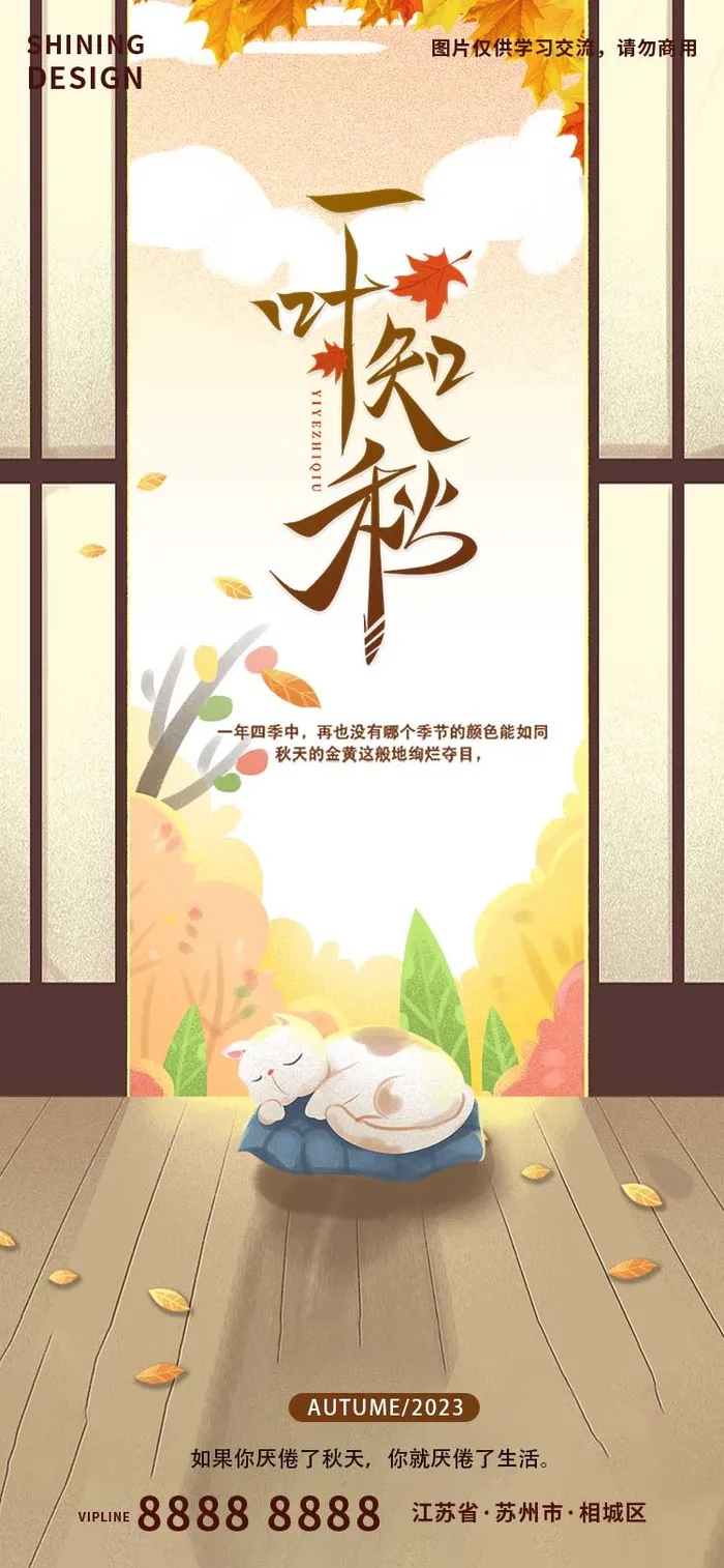 一叶知秋猫咪手绘插画海报