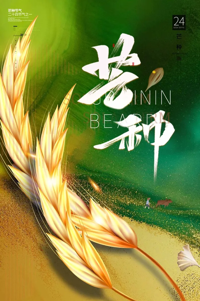 芒种 芒种宣传促销psd模版下载