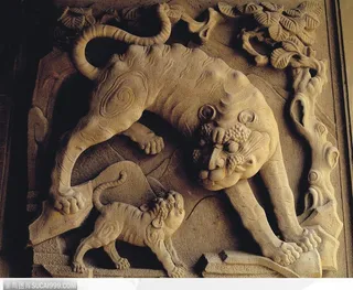 典藏文化-威武的豹子