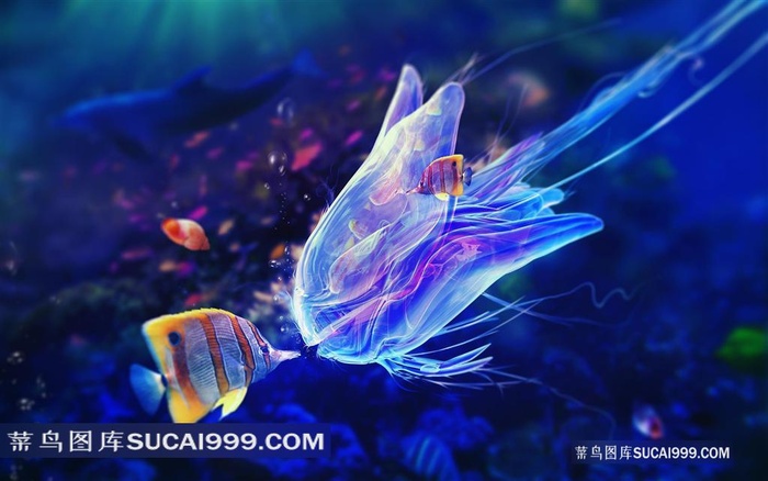 海洋中的一条水晶龙和小花鱼亲吻