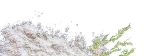 面粉 PNG免抠(770x299)