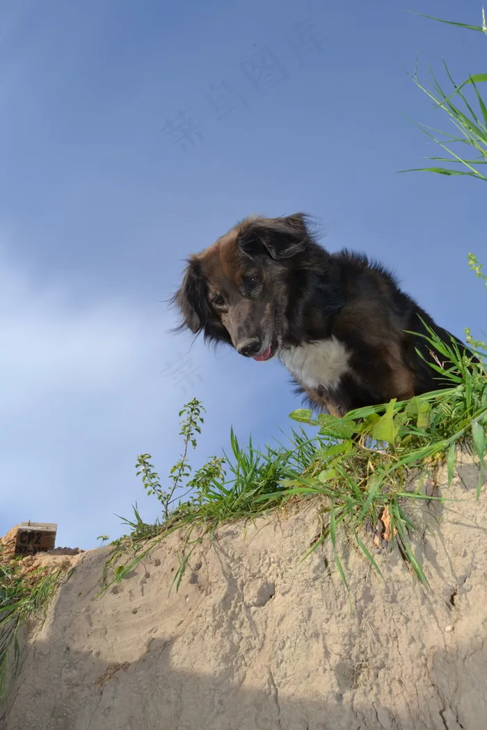 梦幻卡通美女图片 梦幻卡通美女图片