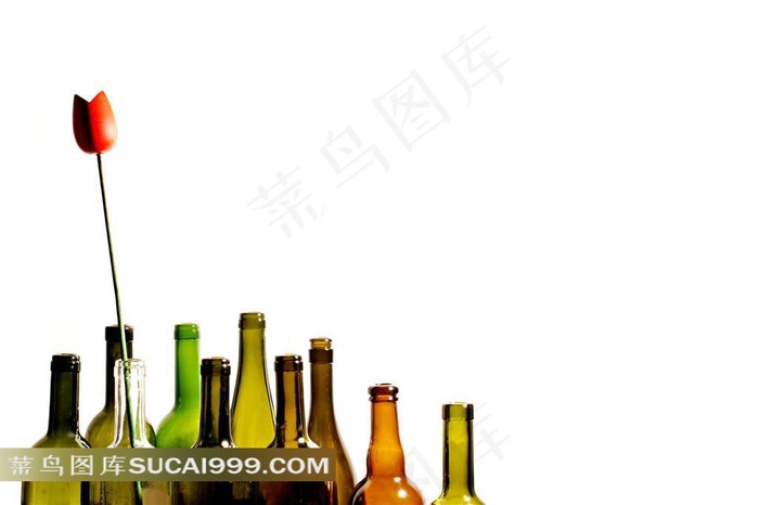 瓶子和郁金香摄影