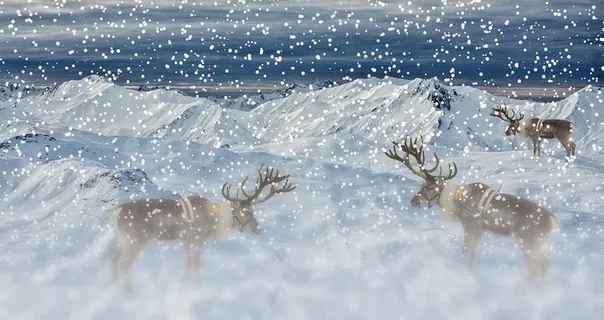 冬天白雪背景风景