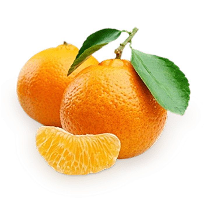 橘子免抠素材 (1)