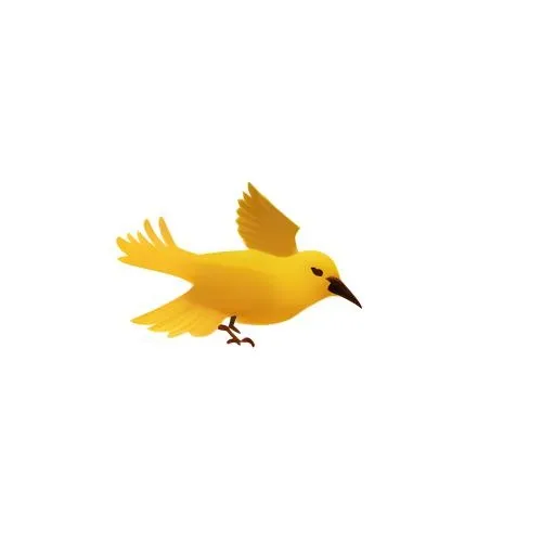 鸟免抠(2048x2048)