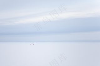 简洁电脑桌面背景图片