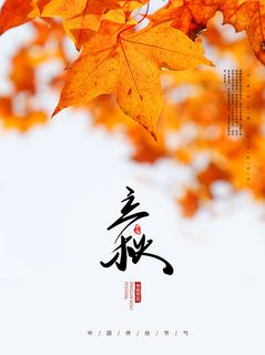 秋天立秋节气美丽海报