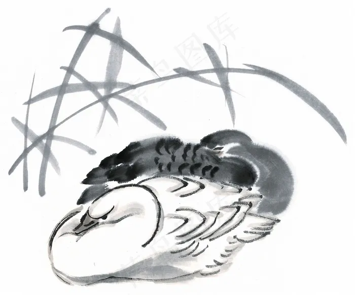 国画鸟高清美图素材
