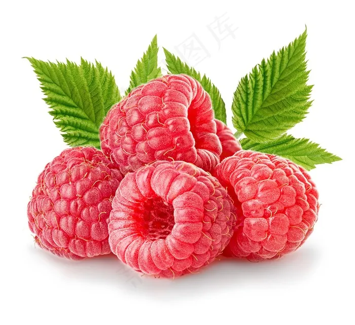 新鲜的车厘子水果素材图