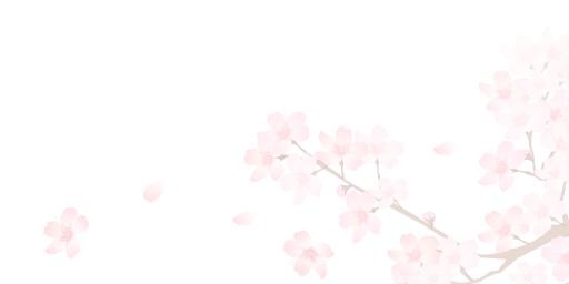 樱花 PNG免抠(3545x1773)