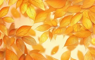 秋天黄色树枝叶子背景