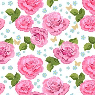 清新玫瑰花背景图片