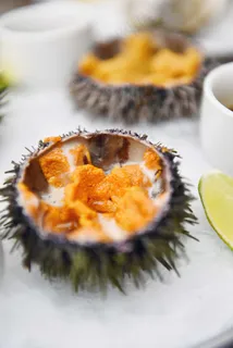 新鲜海胆图片 新鲜海胆图片