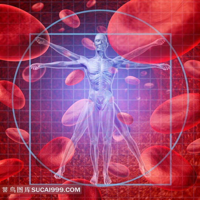 医疗透视系列 - 唯美人体透视