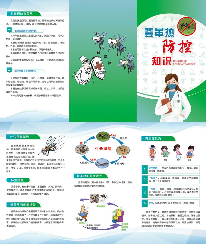 登革热防控知识医疗卫生三折页psd模版下载