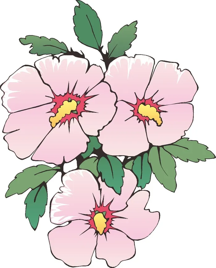 卡通动漫动画鲜花花草菊花牡丹花海报名片免扣图片素材矢量图cdr矢量模版下载