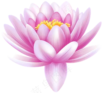 荷花素材 免抠  荷花  复古 中国风 莲花 荷叶