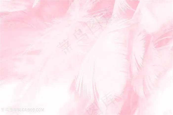 粉色底纹背景小清新羽毛背景高清图片