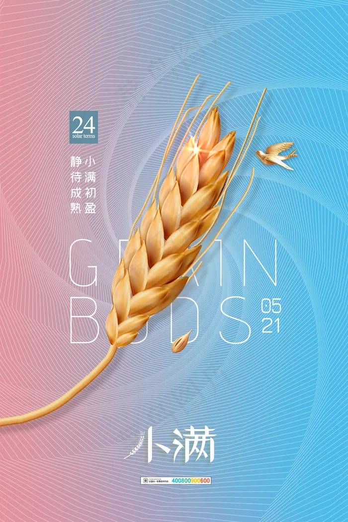 手绘24传统节气小满节日海报