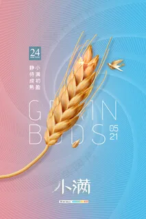 手绘24传统节气小满节日海报