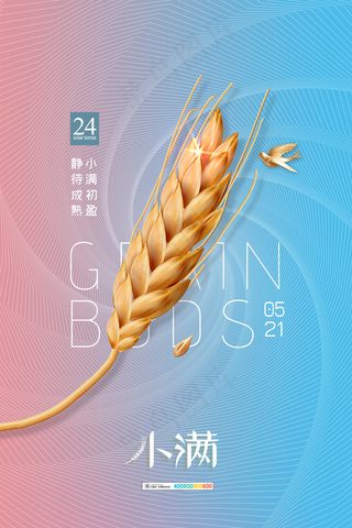 手绘24传统节气小满节日海报