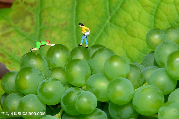 唯美新鲜的葡萄