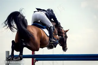 马术骑马运动员高清图