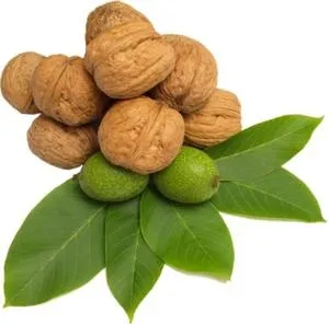 核桃 PNG免抠(300x296)