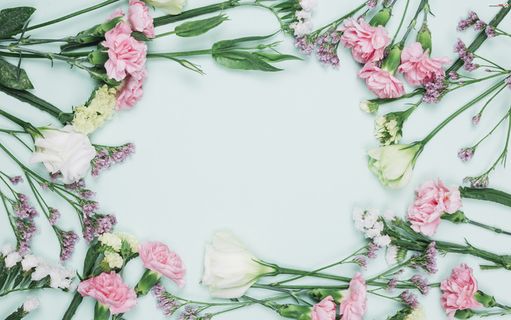 花母亲节康乃馨相框优美