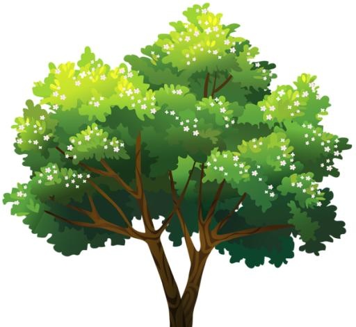 树PNG免抠(600x552)