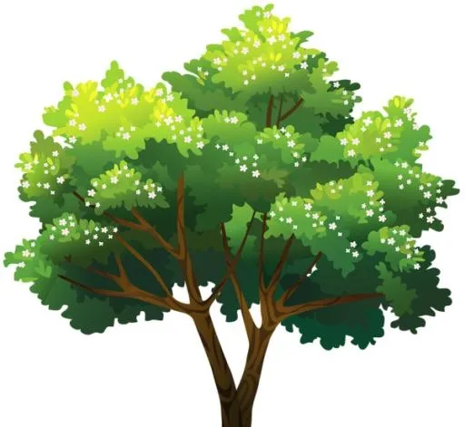 树PNG免抠(600x552)