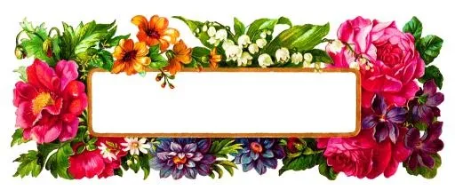 花框 PNG免抠(1600x670)