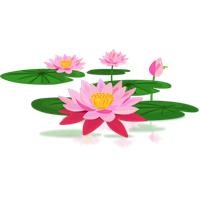 莲花 PNG免抠(200x200)