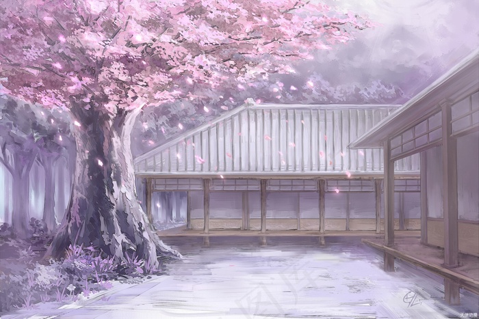 628美丽的樱花