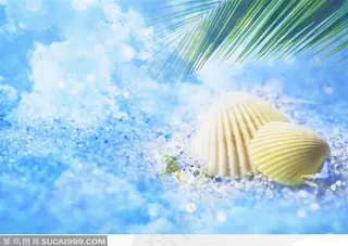 蓝天白云下的贝壳