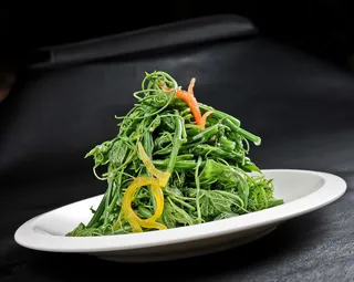 LCSC2020炝拌龙须菜