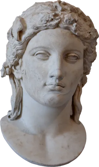 黑白欧式创意石膏头像石膏人像雕塑雕像动物石膏PNG免扣素材