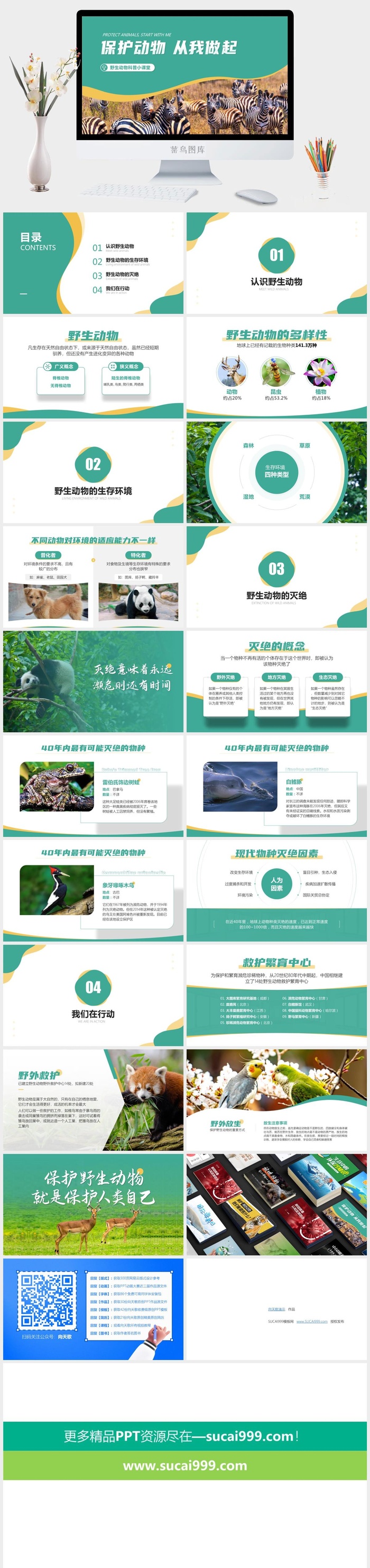 保护动物从我做起——野生动物科普小课堂ppt模板
