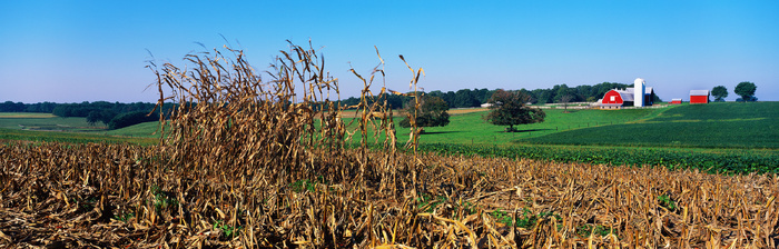 J147-67-大幅风景173