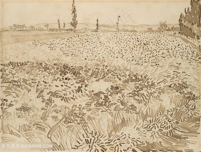 麦田手绘插画