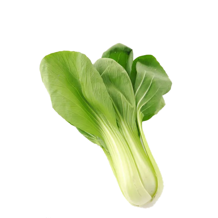 真实蔬菜各种食材青菜