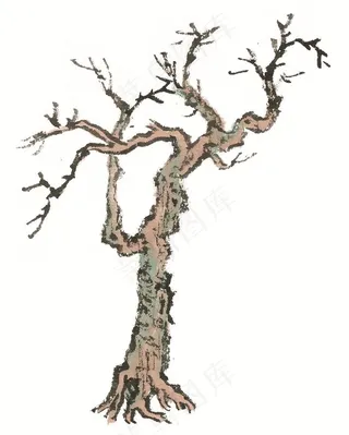 树木设计jpg素材